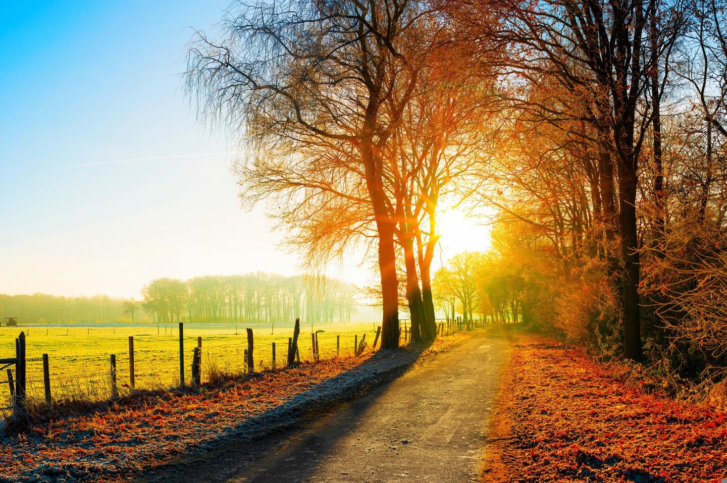 blt49d11e9fac00434f-indian-summer-herbst-t-629612772.jpg indian-summer-herbst-t-629612772.jpg