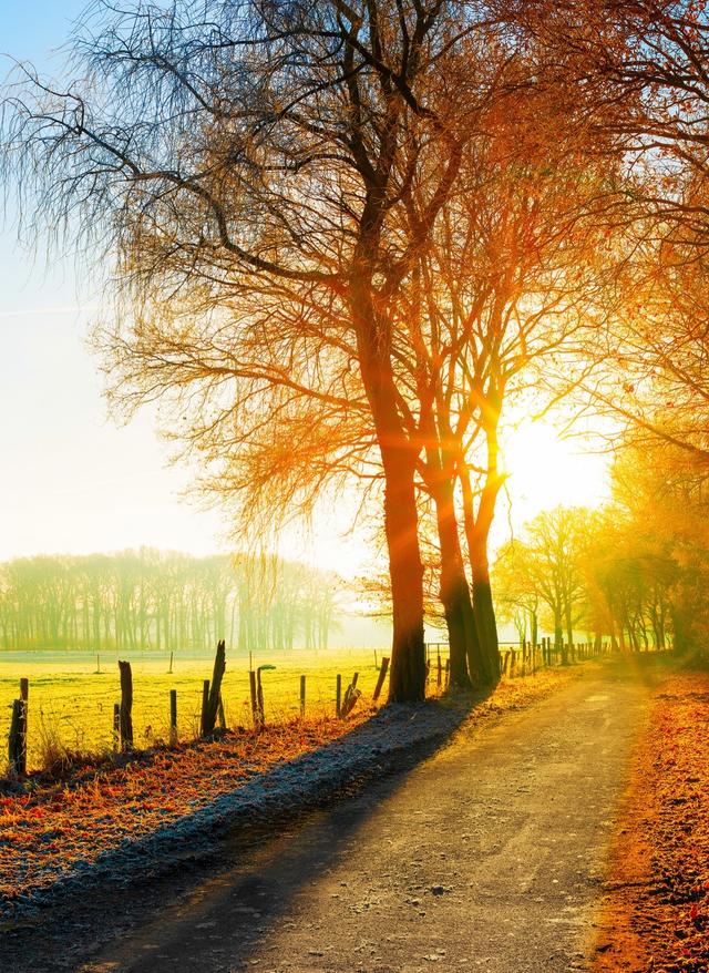 Indian Summer