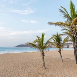 Pauschalreisen Gran Canaria