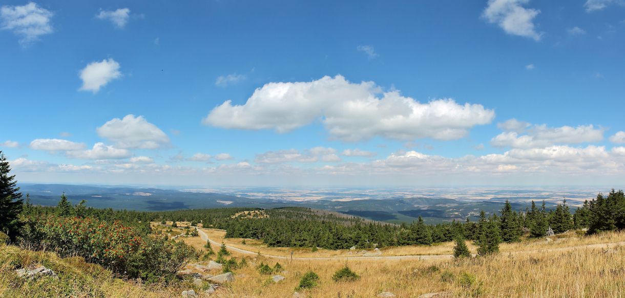Wandern in Harz