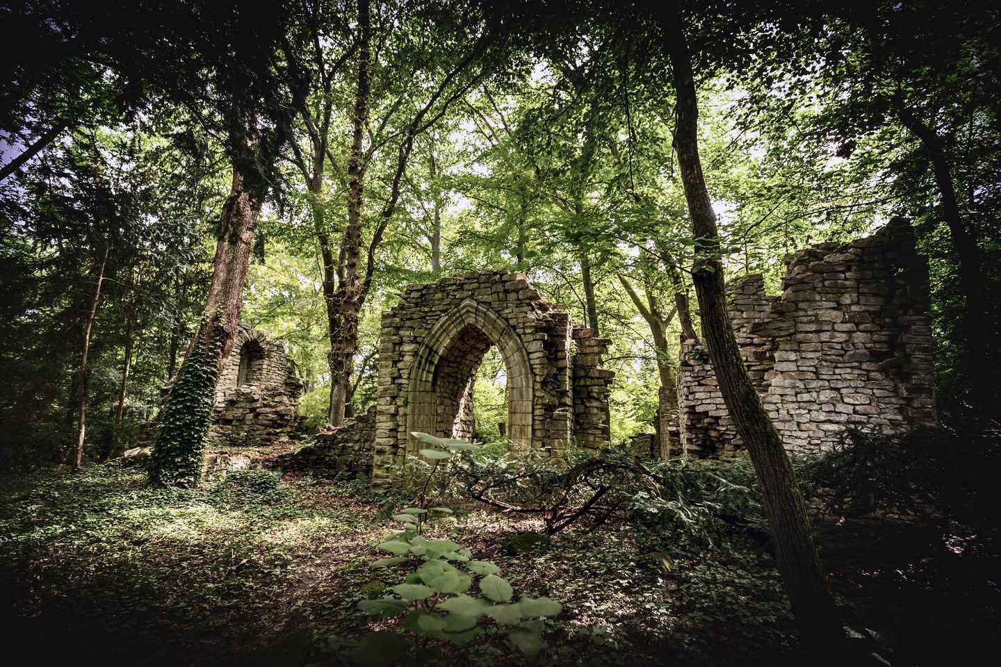 castlecore-alte-ruinen-im-wald-g-600085156.jpeg