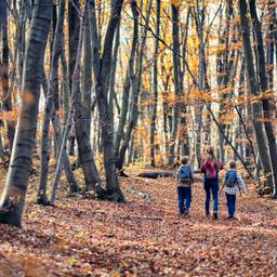 Familienhotels im Thüringer Wald