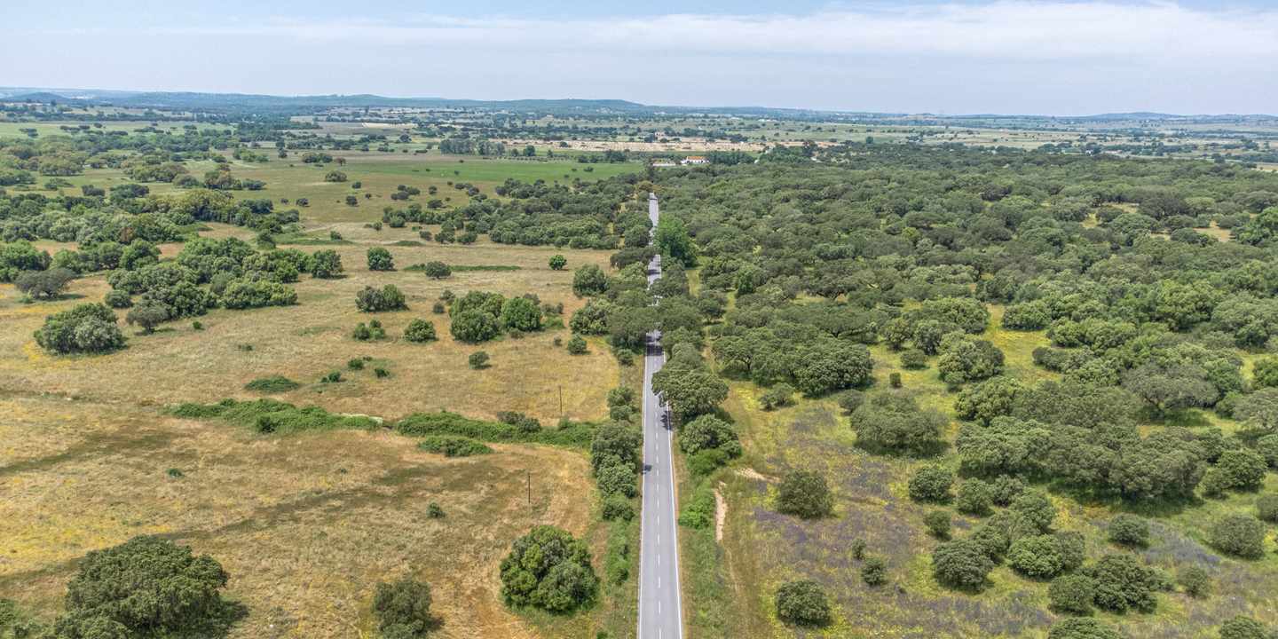 portugal-alentejo-strasse-korkeichenlandschaft-luftaufnahme-g-2234704592.jpg