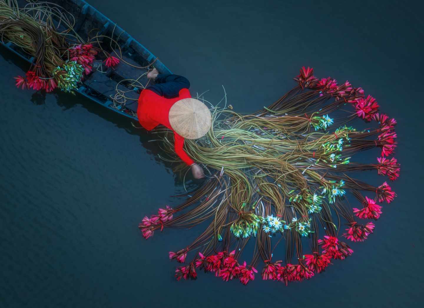 vietnam-mekongdelta-blumen-1434629190.jpg