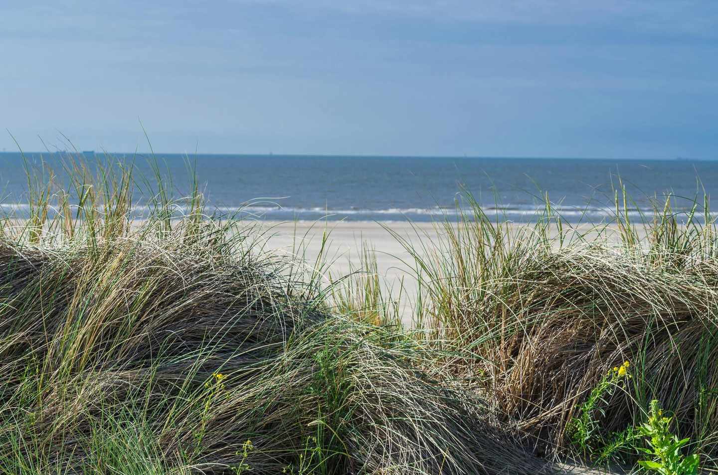niederlande-nordsee-kueste-ouddorp-strand-t-493747214.jpg