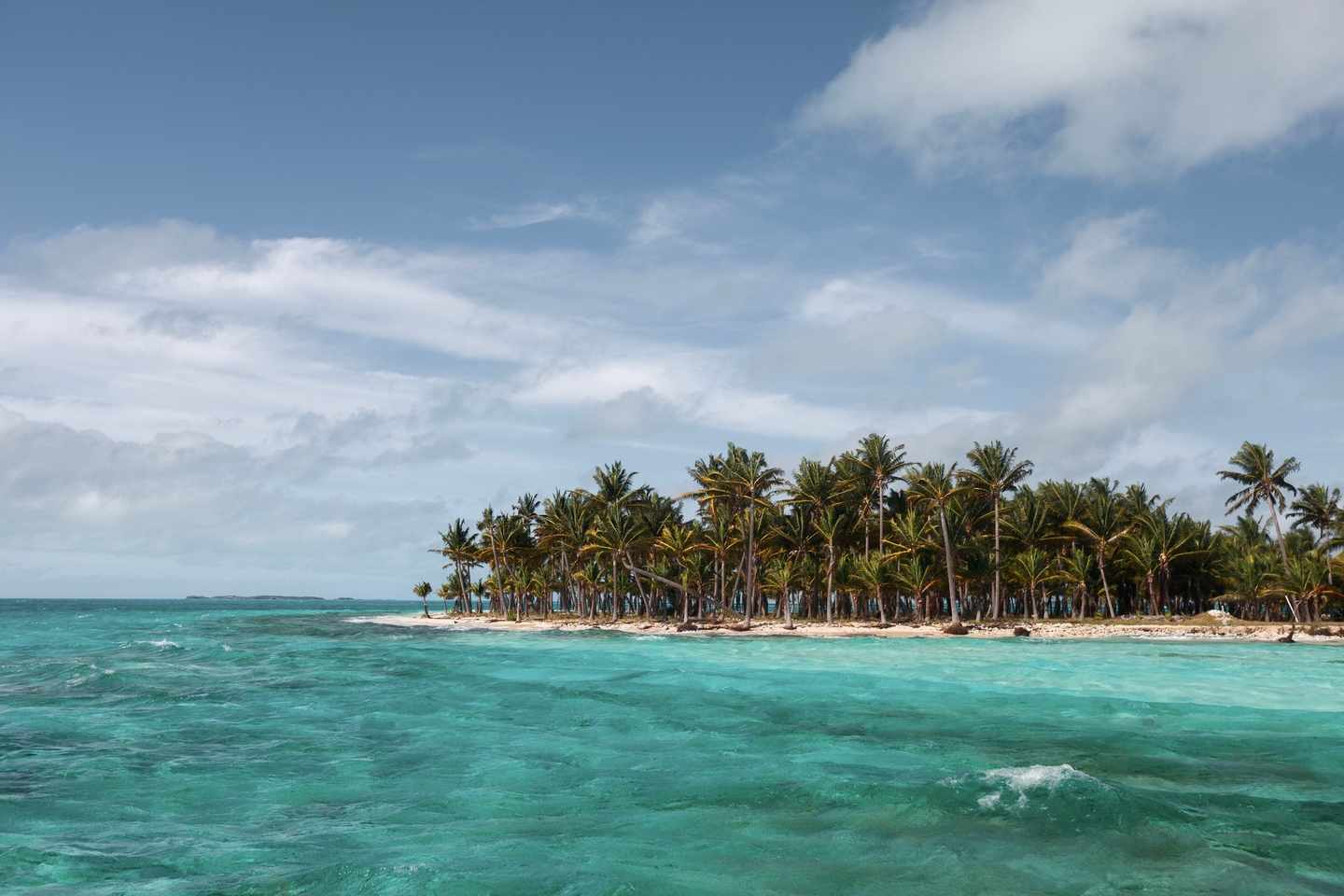 bahamas-palmenstrand-t-472962566-2.jpeg