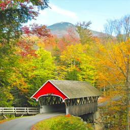 Hotel New Hampshire