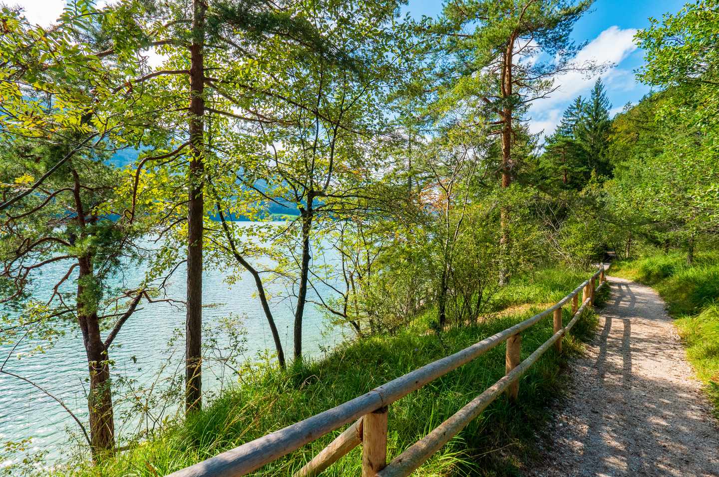 oesterreich-salzburger-land-salzkammergut-fuschlsee-spazierweg-um-den-fuschlsee-g_1271602452.jpg