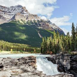 kanada-alberta-jasper-nationalpark-athabasca-falls-g-1765351262_bearbeitet.jpg