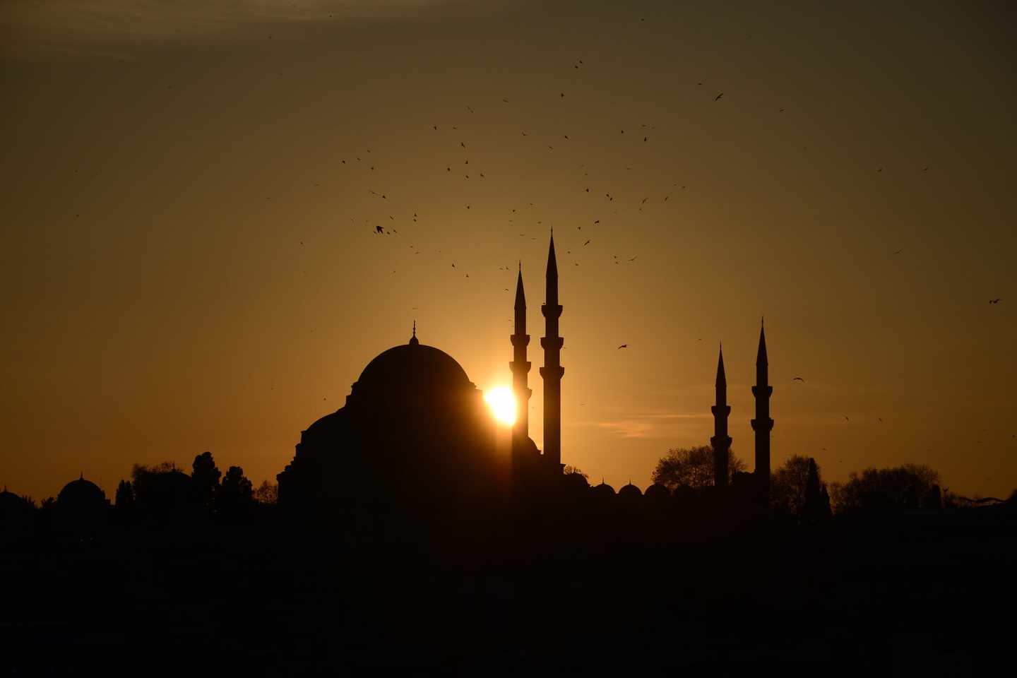 tuerkei-istanbul-sueleymaniye-moschee-sonnenuntergang-g-669054000.jpg