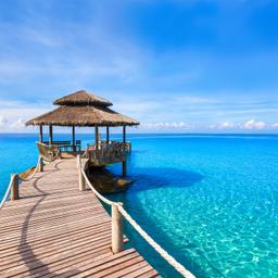 tropischer-strand-g-840269698.jpg