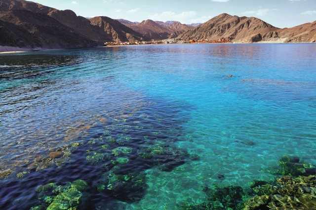 blt4c0f466fa5fd4c57-Mittel__Rotes-Meer_.jpeg Ägypten Urlaub: Rotes Meer