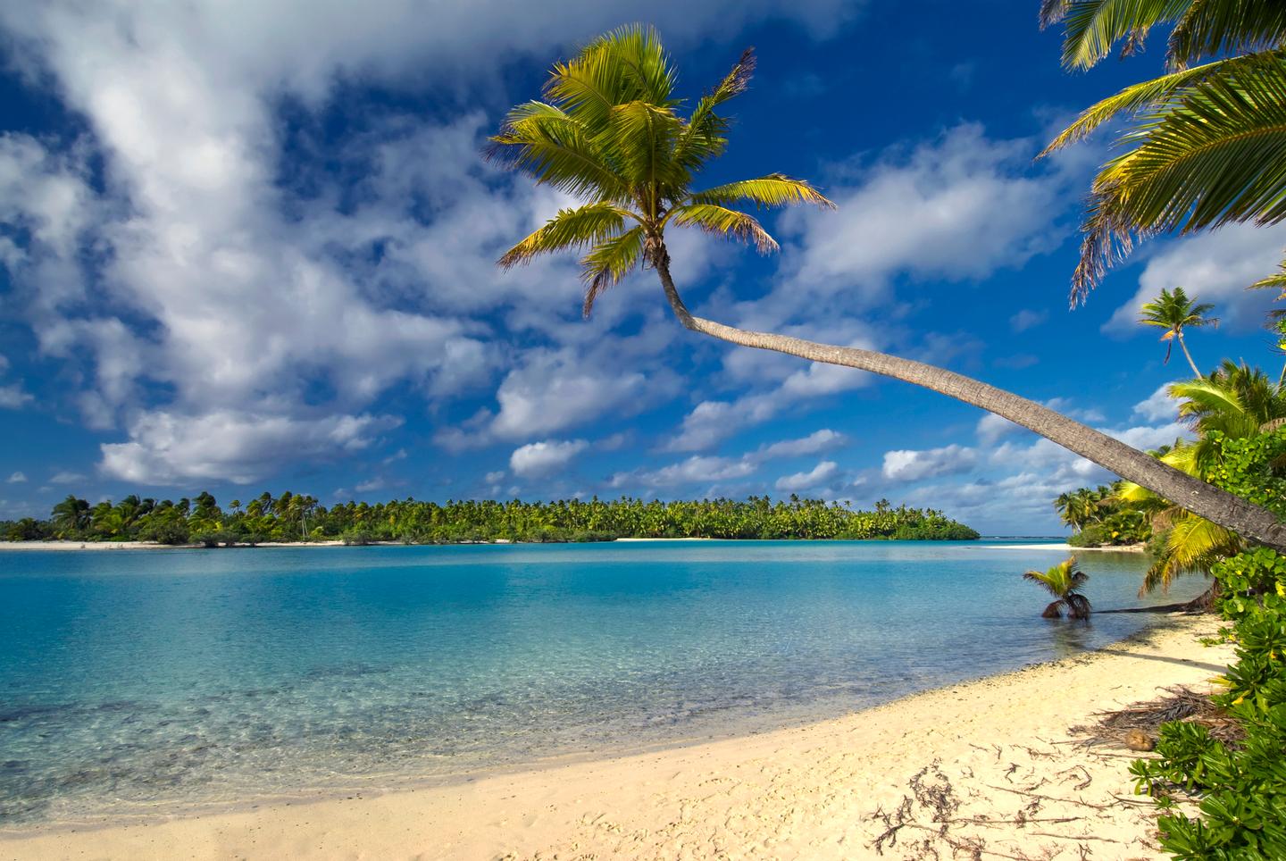 cook-inseln-aitutaki-palmen-t-475884958.jpg