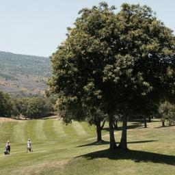 Italien-sizilien-golfplatz-jahhn-g-125914333.jpg