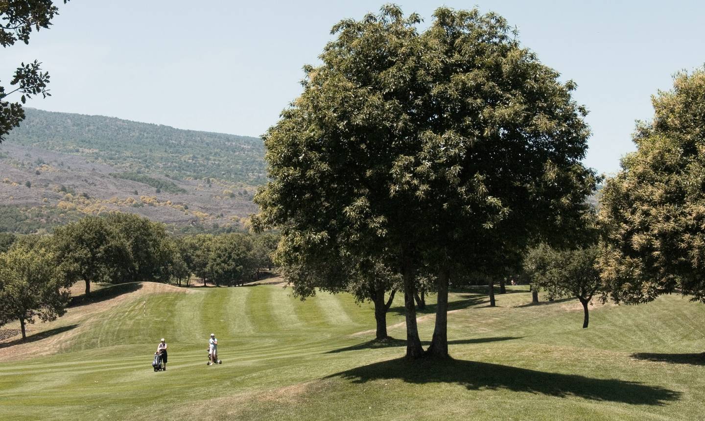 Italien-sizilien-golfplatz-jahhn-g-125914333.jpg