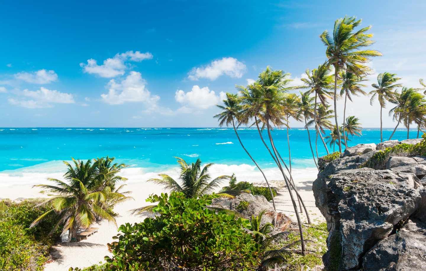 karibik-barbados-bottom-bay-beach-wind-felsen-palmen-g-911699158.jpg