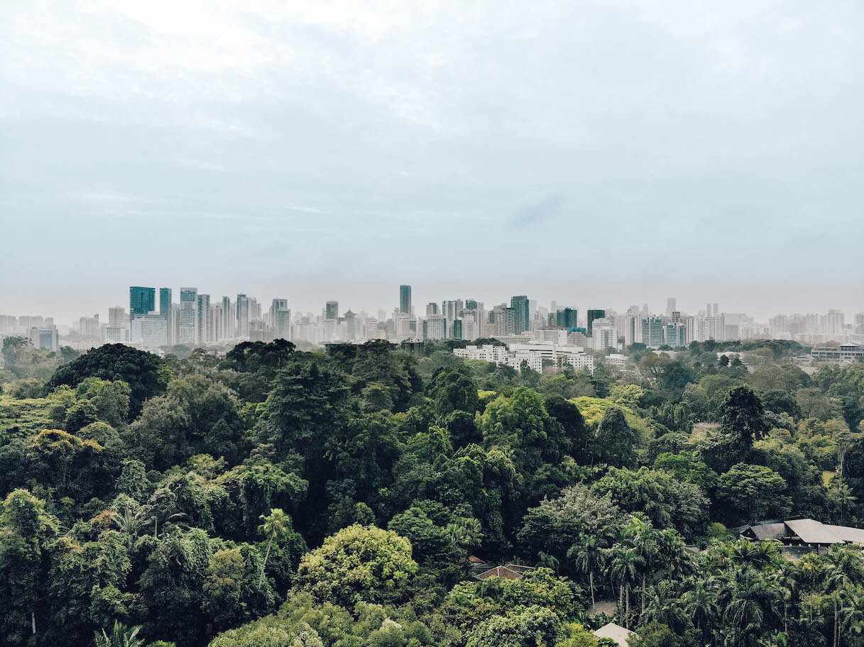 singapur_skyline_gruen_dertour_g-994961892.jpg