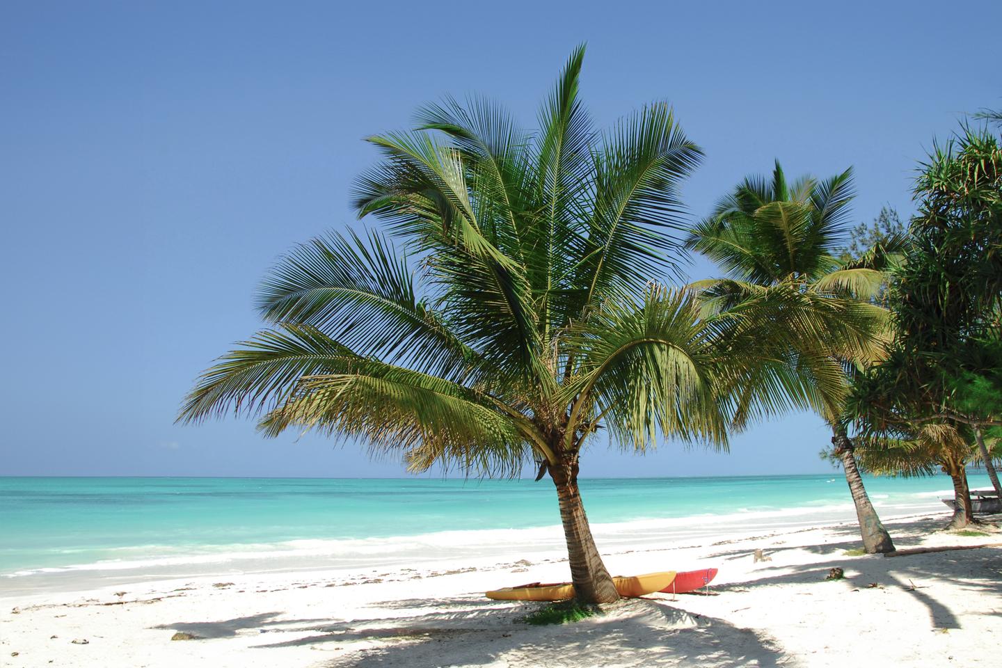 afrika-tansania-sansibar-strand-g-152150633.jpg