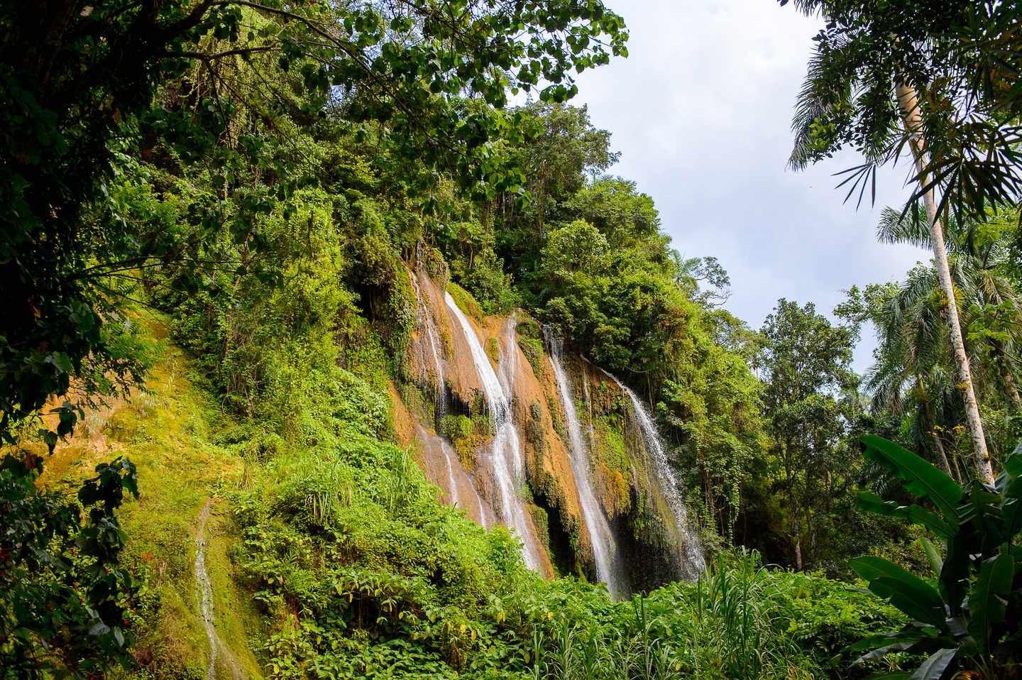 kuba-natur-el-nicho-wasserfall-g-1013302244.jpg