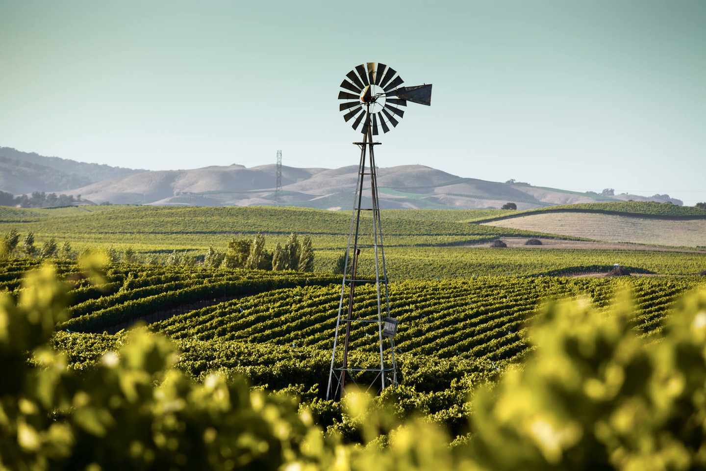 usa-kalifornien-napa-blick-ueber-wine-country-g-169956162.jpg