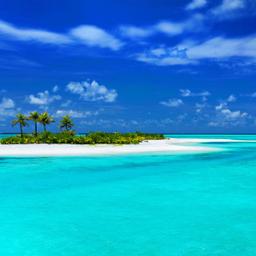 malediven-strand-palmen-t-136410798.jpg