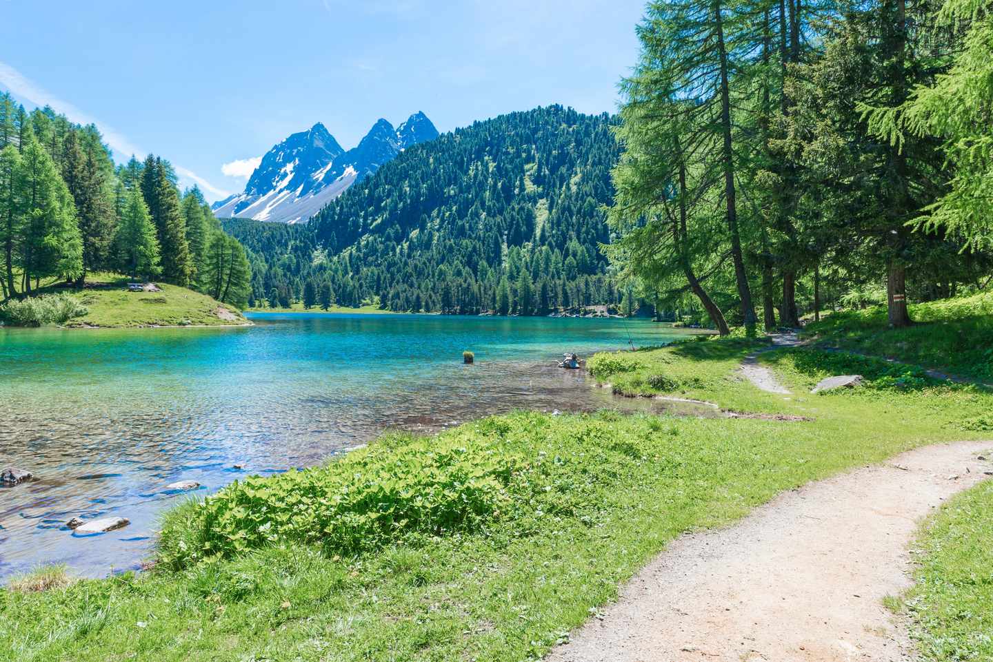 schweiz-graubuenden-see-im-wald-g-914652576.jpg