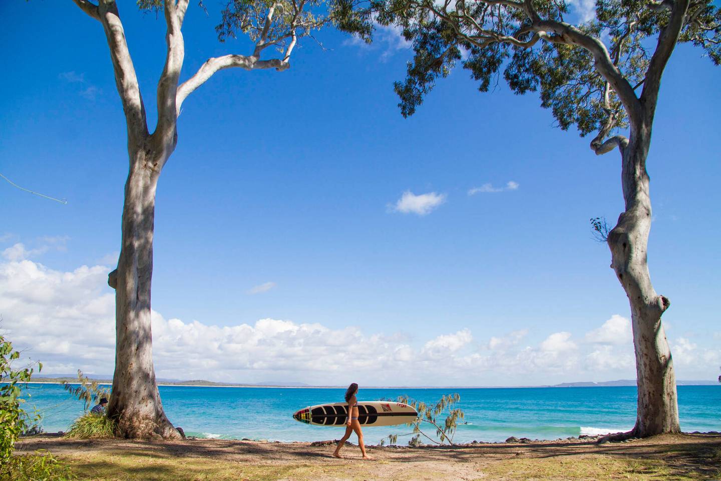 blt8556aa92229b03e3-australien-queensland-noosa-national-park-f.jpg australien-queensland-noosa-national-park-f.jpg