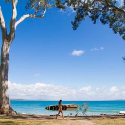 australien-queensland-noosa-national-park-f.jpg