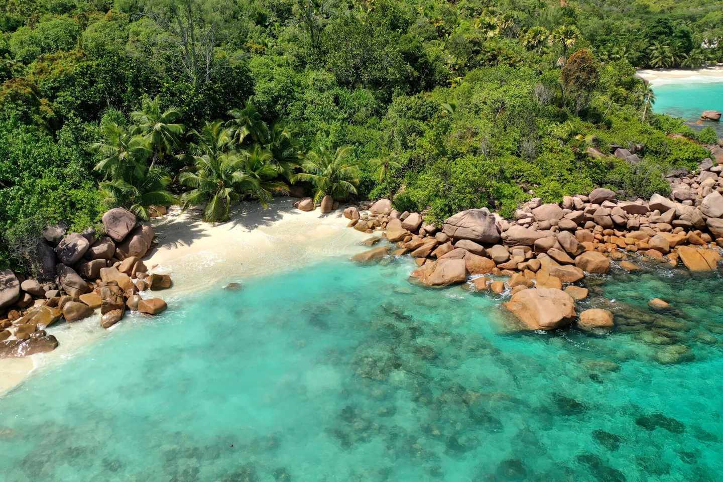 seychellen-strandhochzeit-seychellen-anse-lazio-mit-wald-g-1320694664.jpg