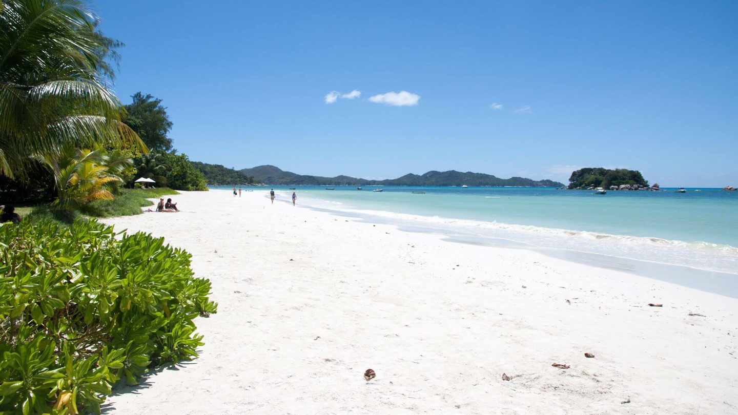 seychellen-strandhochzeit-seychellen-cote-d-or-strand-und-meer-g-178108494.jpg