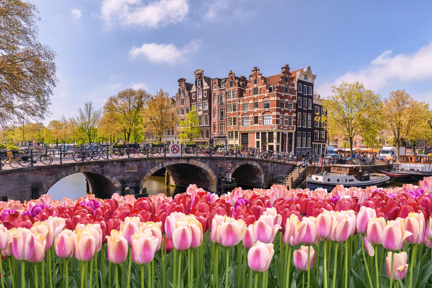 blted790c7a9c4008c2-niederlande-amsterdam-tulpen-g-1460530503.jpg niederlande-amsterdam-tulpen-g-1460530503.jpg