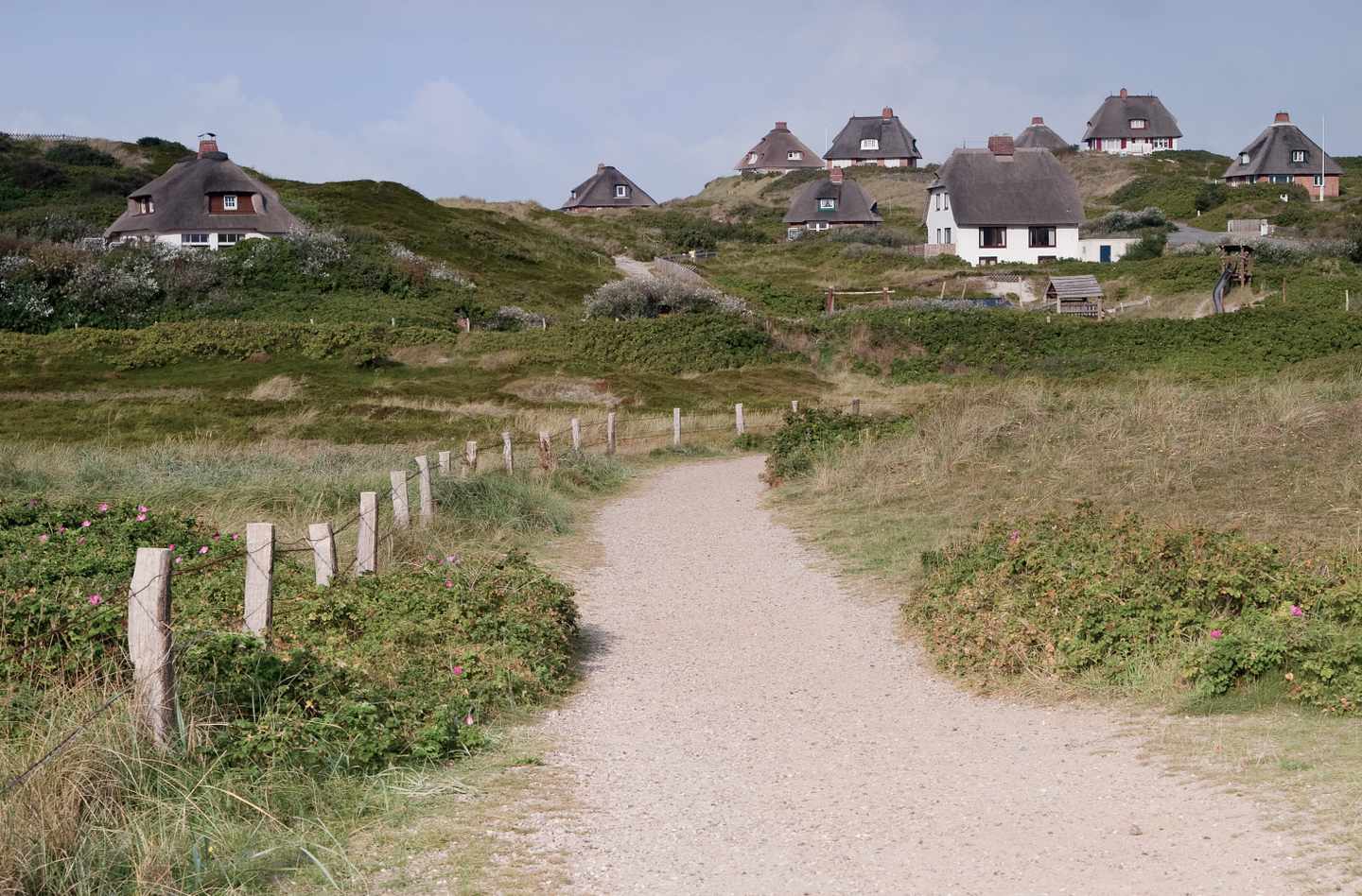 deutschland-schleswig-holstein-sylt-reetdachhaeuser-g-96649671.jpg