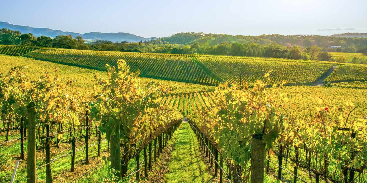 usa-kalifornien-napa-valley-g-627285362.jpg