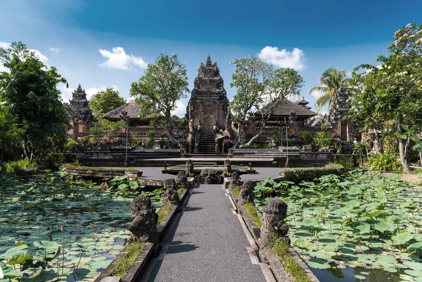 Indonesien-Ubud-Pura-Taman-Saraswati-Tempel-g-960522970.jpg