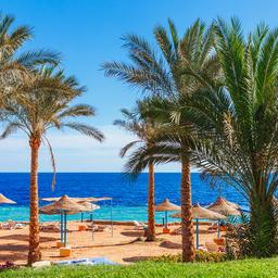Hotel Sharm-El-Sheikh
