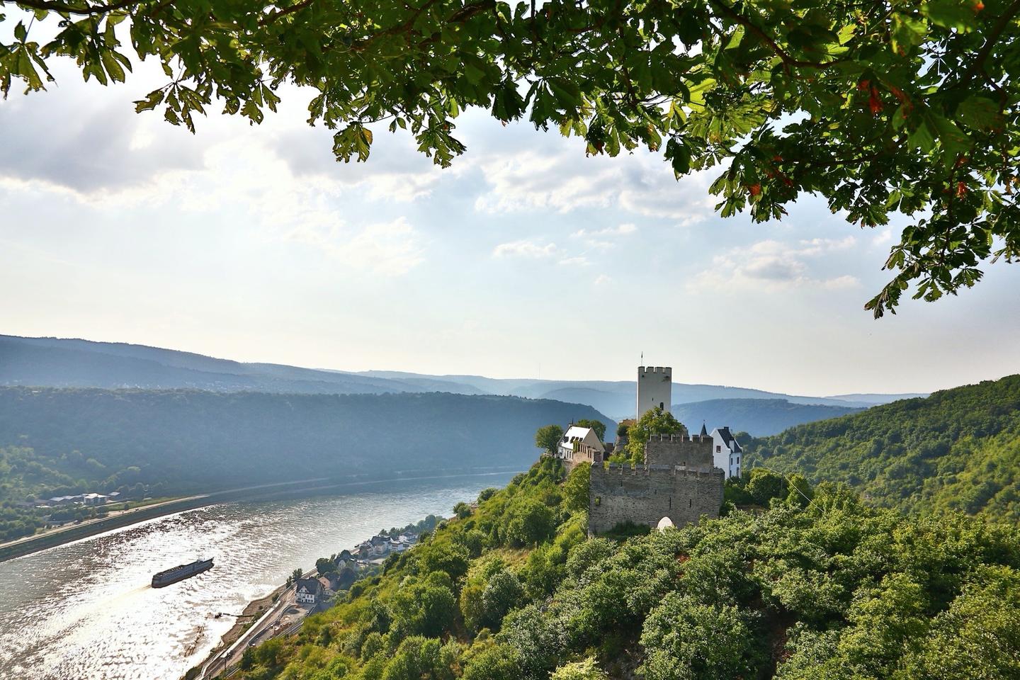Wandern am Rhein