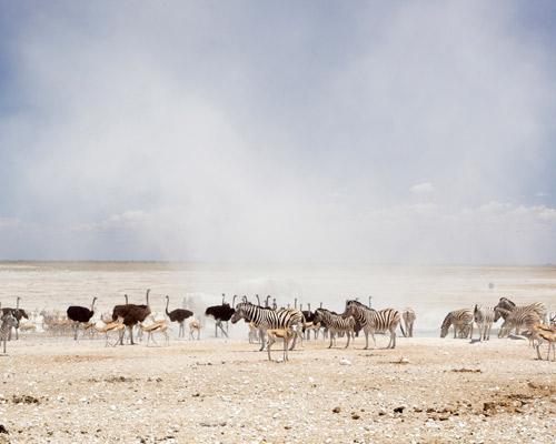 Windhoek bis Etosha: Namibia zwischen Wüste und Wildnis