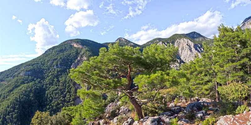 tuerkei-alanya-sapadere-schlucht-a-700172746.jpg