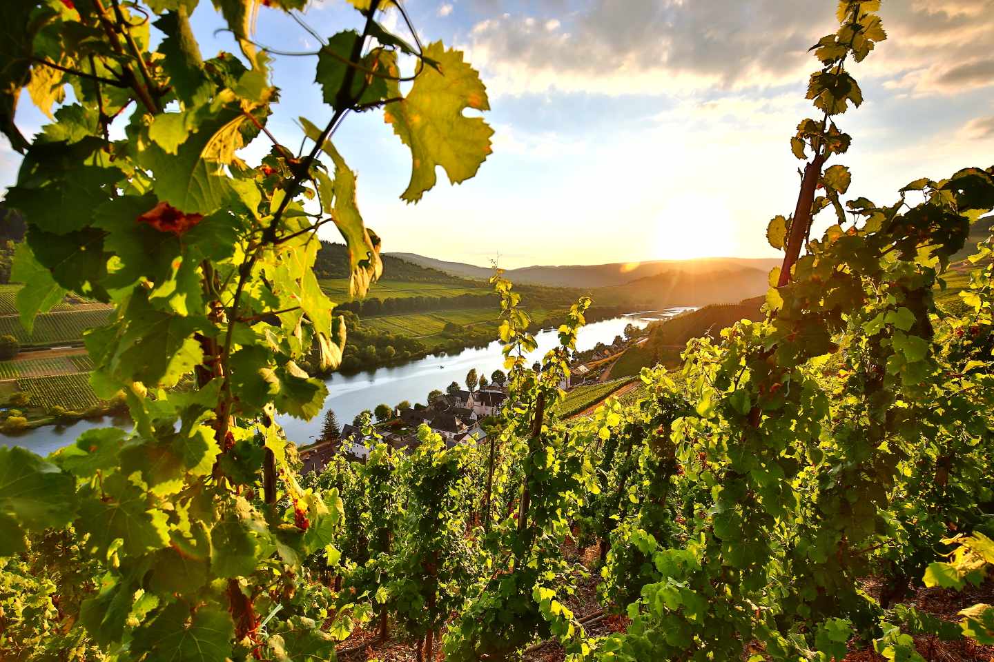 deutschland-mosel-g-26624806.jpg
