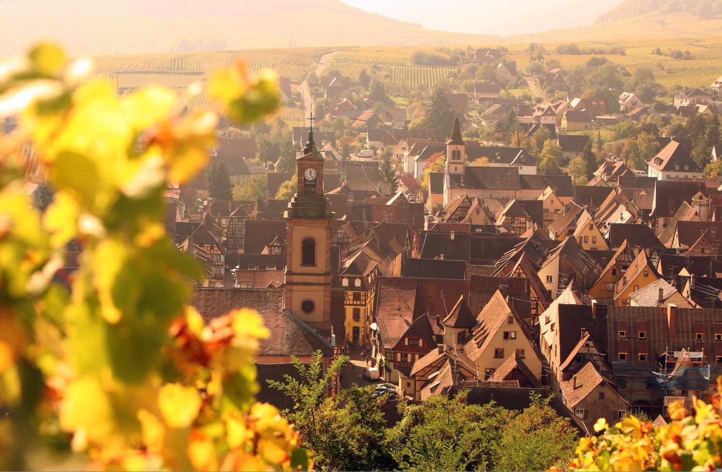 frankreich-elsass-riquewihr-panorama-klein-g-613311994.jpg