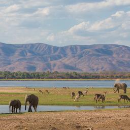 Hotels in Sambia