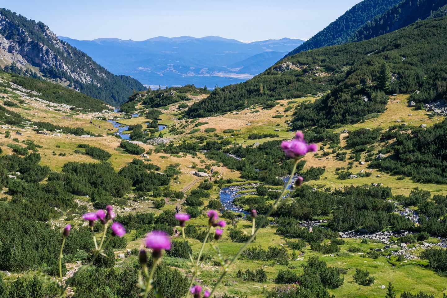 bulgarien-natur-g-1339063866.jpg