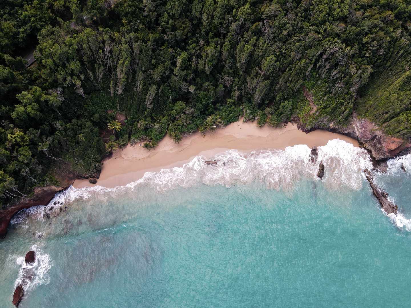 karibik-guadeloupe-deshaies-strand-wald-g-1380136859.jpg