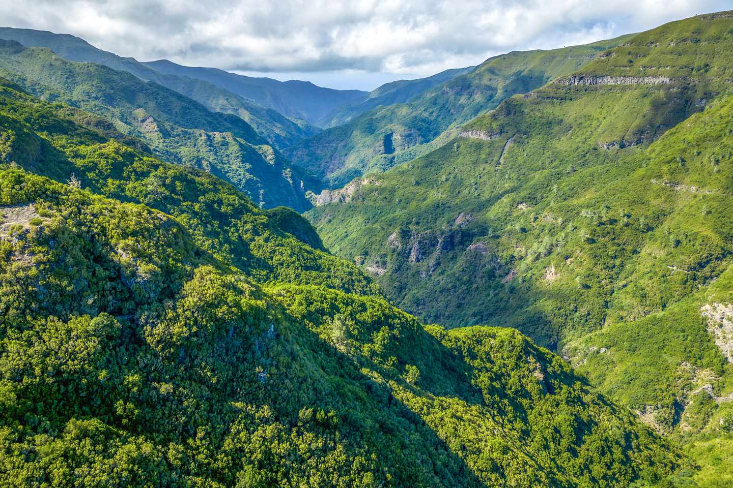 Grünes Tal der Levada das 25 Fontes bei Rabaçal mit dicht bewachsenen Berghängen auf Madeira, Portugal