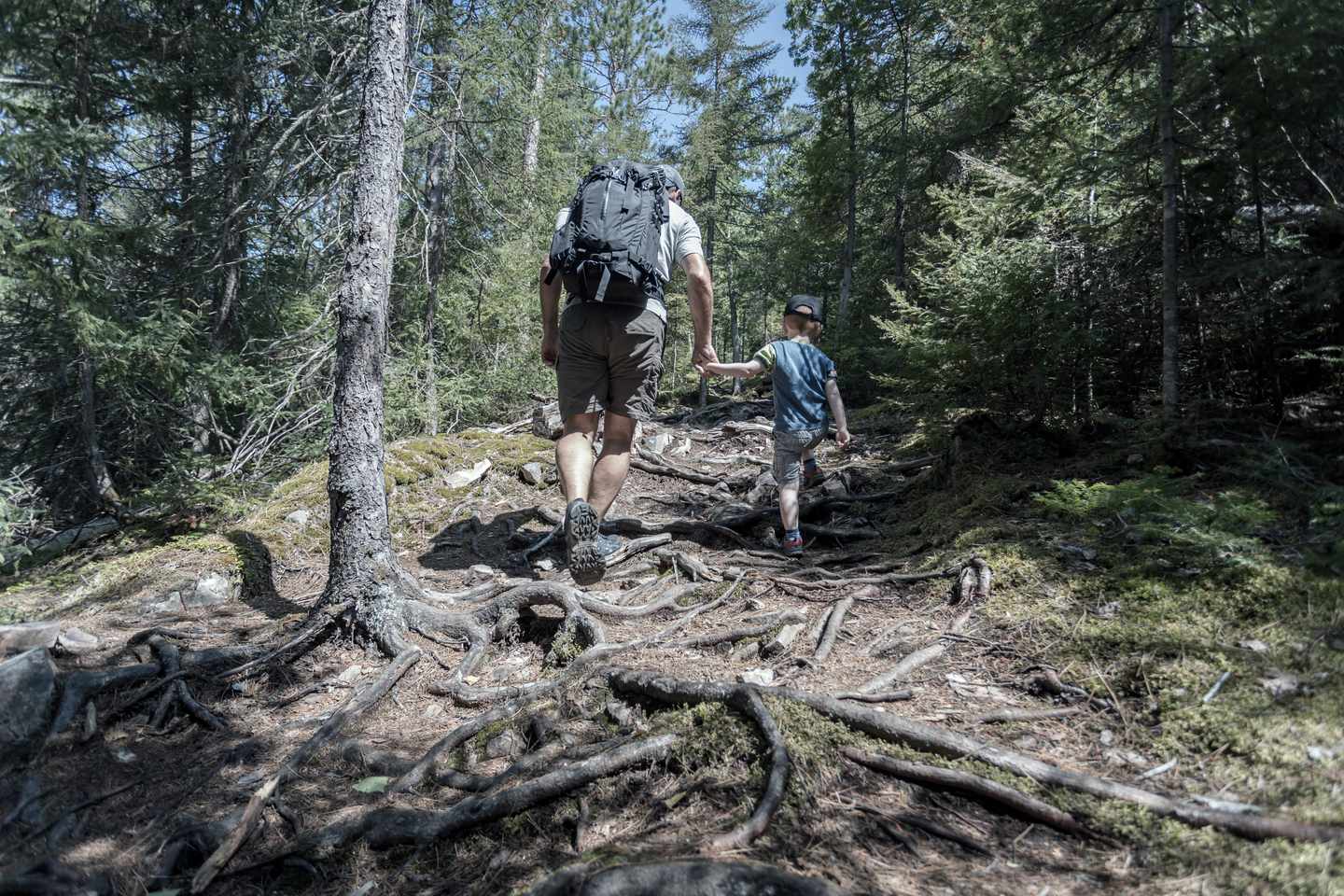 bayern-bayerischer-wald-vater-sohn-wanderung-wald-g-1178179296.jpg