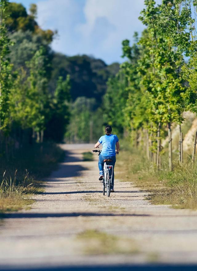 spanien-mallorca-osten-via-verde-frau-auf-fahrrad-im-wald-g-539953532.jpg