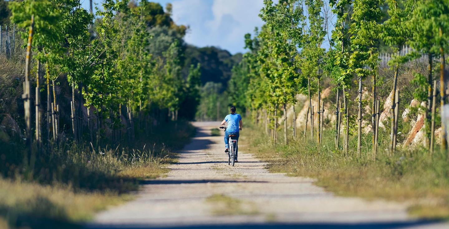 spanien-mallorca-osten-via-verde-frau-auf-fahrrad-im-wald-g-539953532.jpg