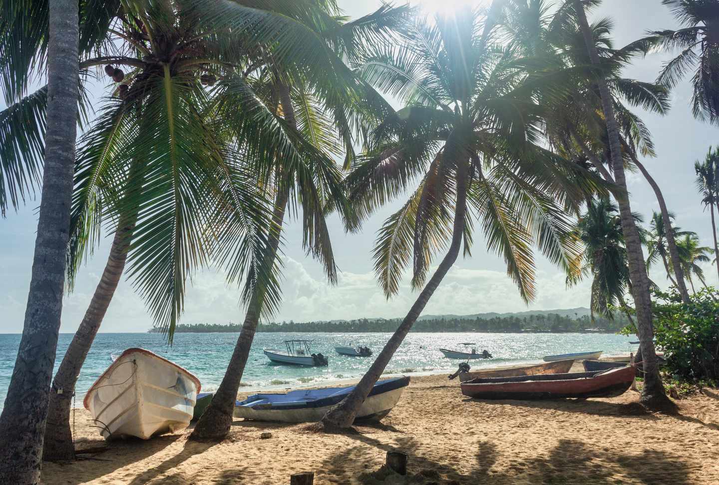 blt988eba80a427e60b-Dominikanische-Republik-Samana-Las-Terrenas-Strand-g-1195602606.jpg Las Terrenas Strand auf Samana