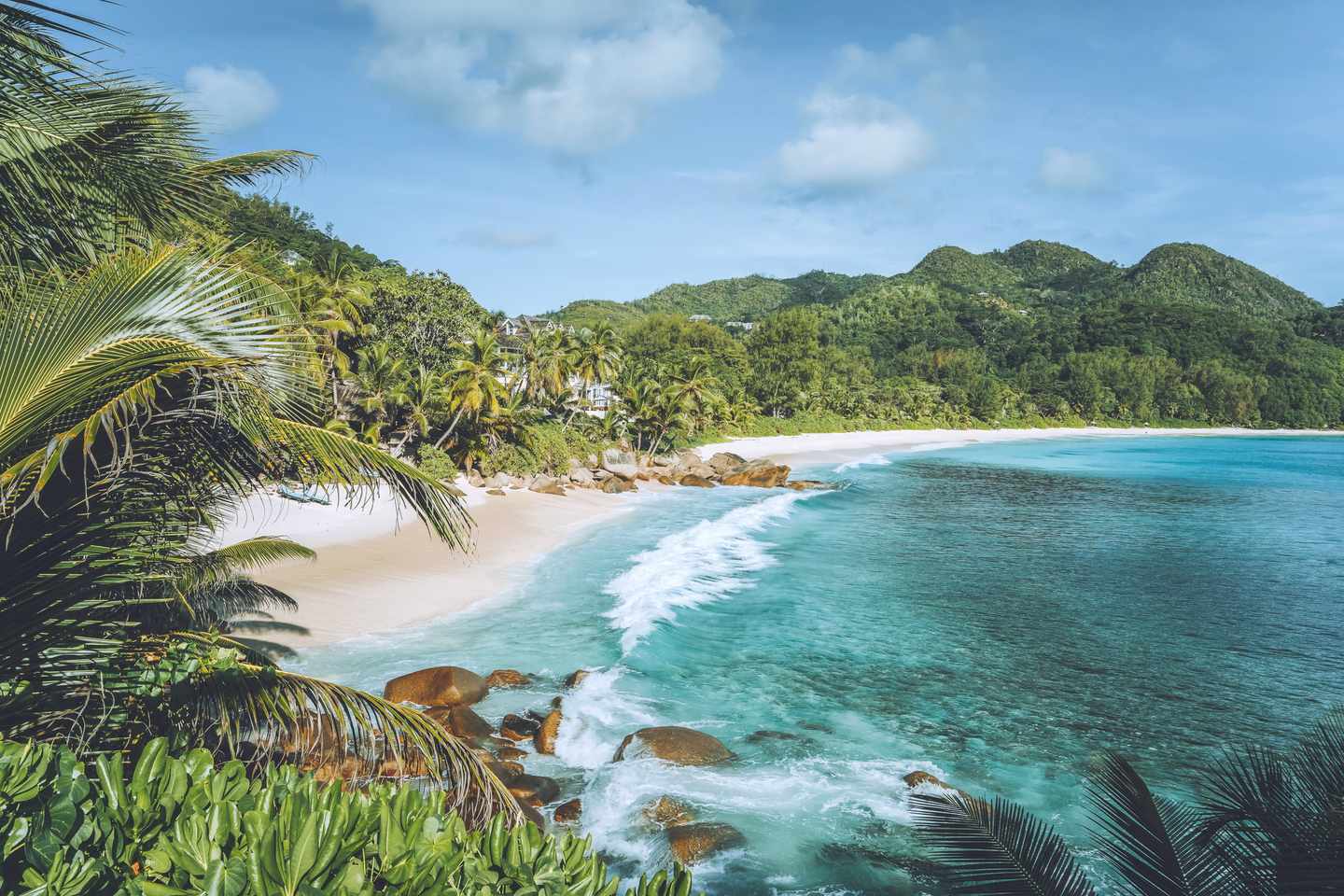 seychellen-mahe-island-strand-mit-palmen-g-1345873706.jpg