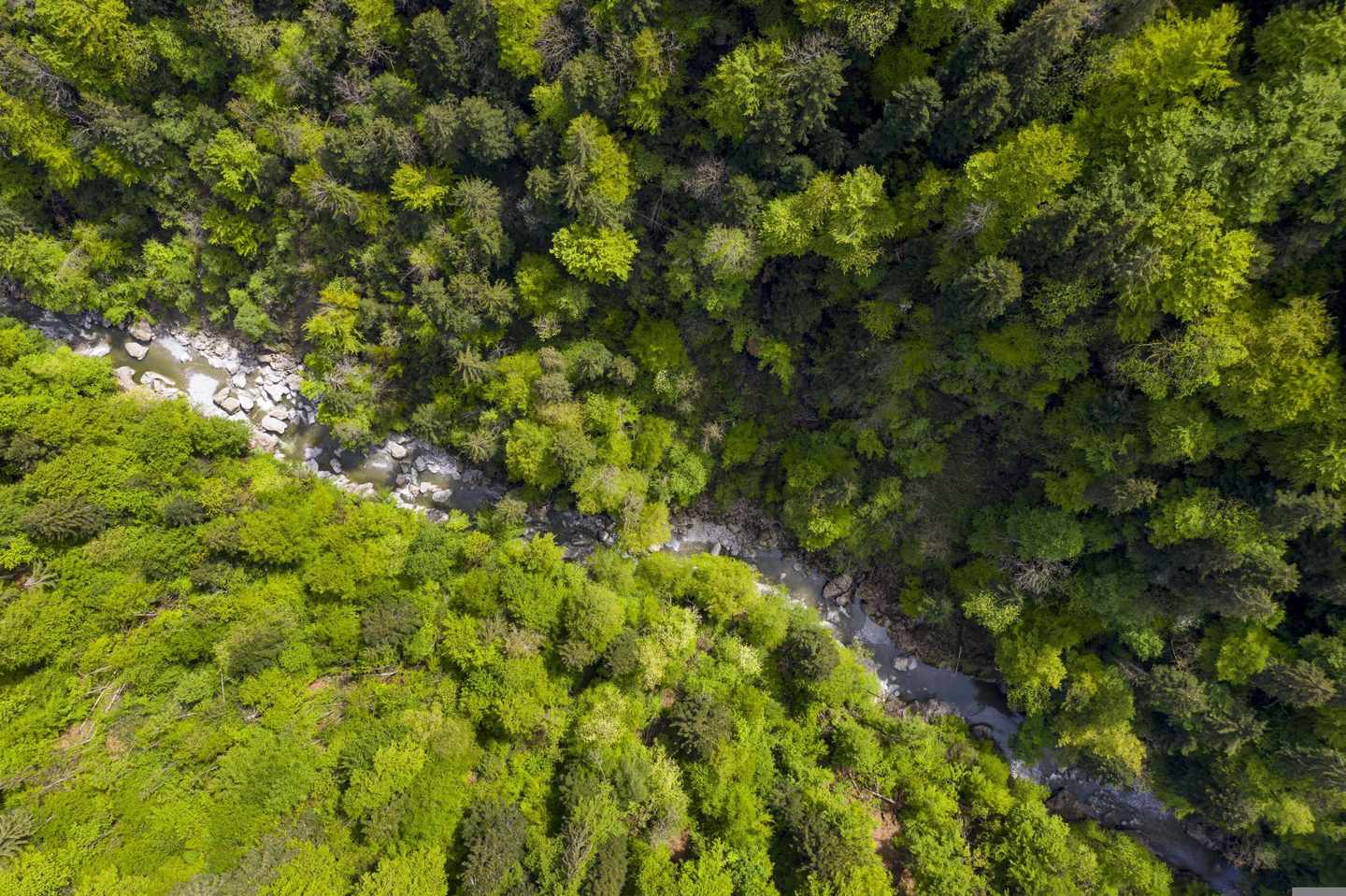 oesterreich-bregenzer-wald-g-1285663955.jpg